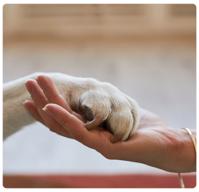 Atendimento de urgência