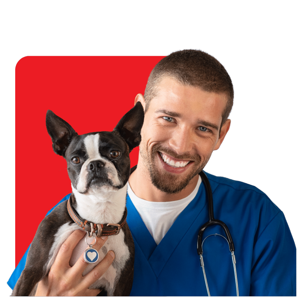 imagens site 1080 2 1